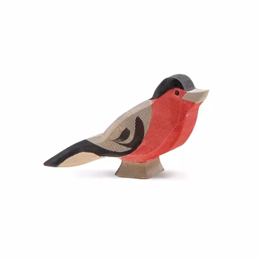 Domherre - från Ostheimer