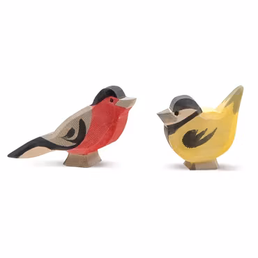 Talgoxe - från Ostheimer