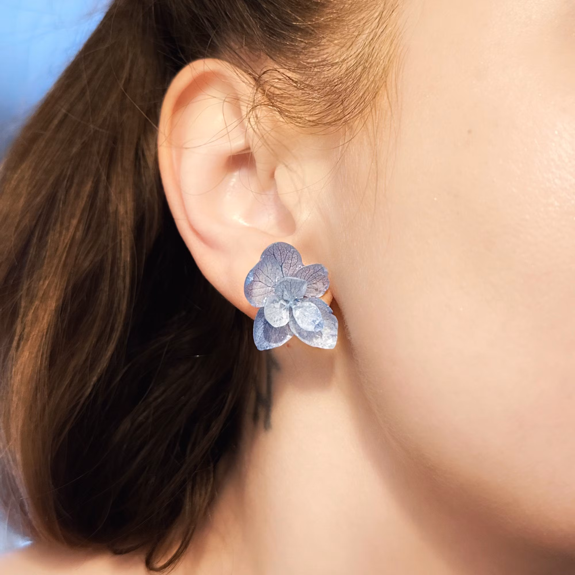 Hortensia - KBACKOSHOP