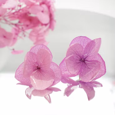 Hortensia Alv Fuksia - Øresmykker Laget av Ekte Hortensiablomster
