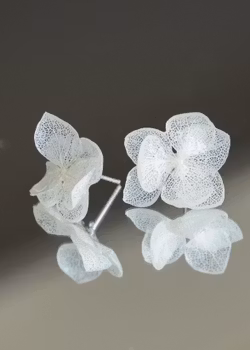 Hortensia Alv- Øresmykker  i Hvite toner  Laget av Ekte Tørkede Hortensiablomster  og Ørestikker belagt med Ekte Sølv