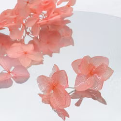 Hortensia Alv Fersken - Øresmykker Laget av Ekte Tørkede Hortensiablomster  og Ørestikker belagt med Ekte Sølv