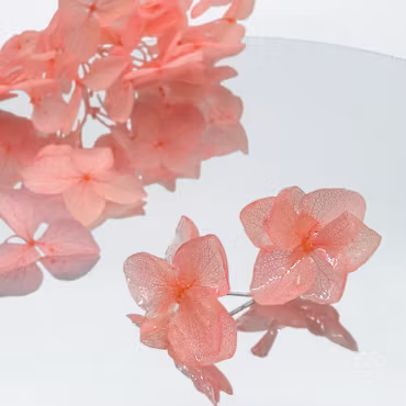 Hortensia Alv Fersken - Øresmykker Laget av Ekte Tørkede Hortensiablomster  og Ørestikker belagt med Ekte Sølv