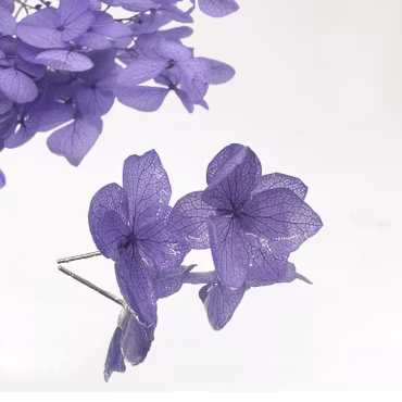 Hortensia Alv i Indigo–  Øresmykker Laget av Tørkede Hortensiablomster  og Ørestikker belagt med Ekte Sølv