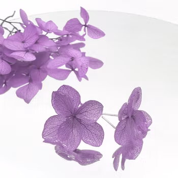 Hortensia Alv Lilla- Øresmykker Laget av Ekte Hortensiablomster