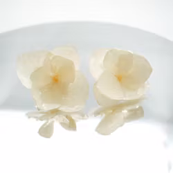 Hortensia Alv Amplia Kremhvit– Øresmykker Laget av Ekte Hortensiablomster