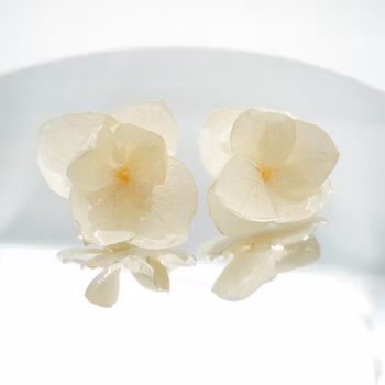 Hortensia Alv Amplia Kremhvit– Øresmykker Laget av Ekte Hortensiablomster