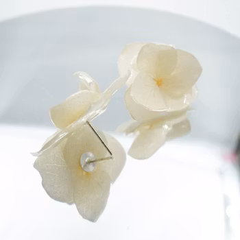 Hortensia Alv Amplia Kremhvit– Øresmykker Laget av Ekte Hortensiablomster