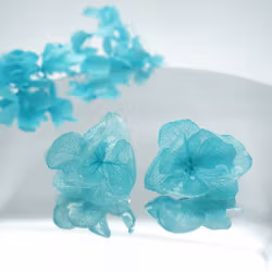 Hortensia Alv Amplia Turkis– Øresmykker Laget av Ekte Hortensiablomster