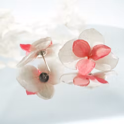 Hortensia Alv Amplia- Øresmykker i Kremhvit og Rosa -Laget av Ekte Tørkede Hortensiablomster  og Ørestikker belagt med Ekte Sølv