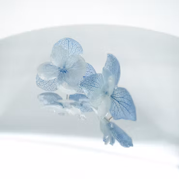 Hortensia Alv i Blå og hvit–  Øresmykker Laget av Ekte Hortensiablomster