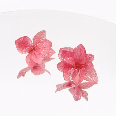 Hortensia Alv Varm Rosa - Øresmykker Laget av Ekte Hortensiablomster