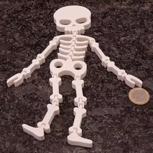 Flexibelt skelett 3D-utskrivet i hållbart PLA