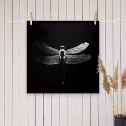 Dragonfly silhuett poster