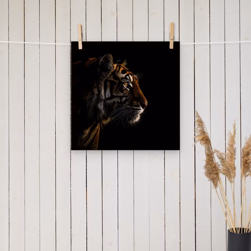 Tiger Silhoutte - looking to the right poster