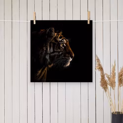 Tiger silhuett poster