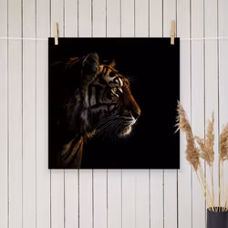 Tiger silhuett poster