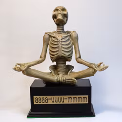 aaaa-uuuu-mmmm - unik handgjord mediterande skelett