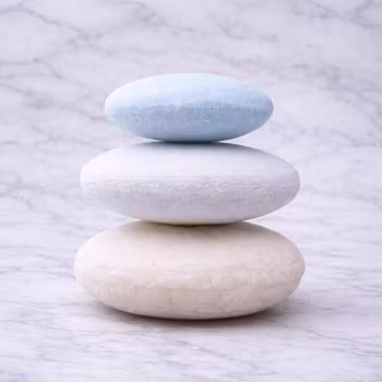 Pim’s Shampoo – Fast shampoo för hund