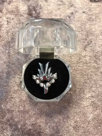 Roliga Ringar med Strass
