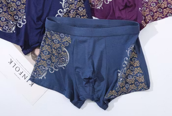 Modal Silk  Kalsonger