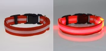 LED Hund / Kat Halsband