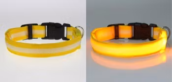 LED Hund / Kat Halsband