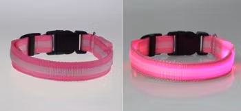 LED Hund / Kat Halsband