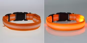 LED Hund / Kat Halsband