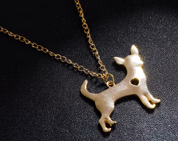Hund Halsband