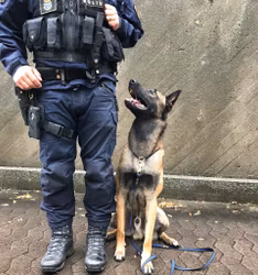 Hundkoppel Kops Karbinhake 20mm