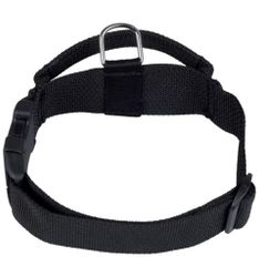 Hundhalsband med handtag och snabbspänne, Gappay