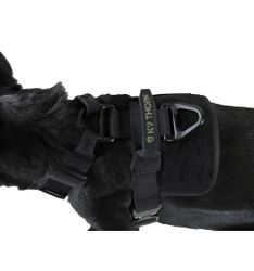 Hundsele Delta, K9 Thorn
