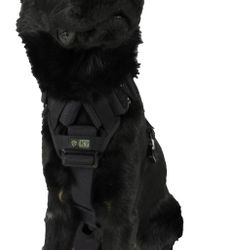 Hundsele Delta, K9 Thorn