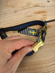 Kops hundhalsband Guld