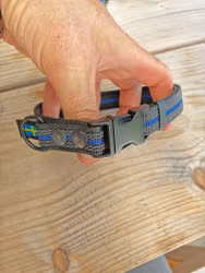 Kopia Kops hundhalsband Svart