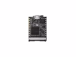 Sipeed Lichee Nano Linux Development Board 16M Flash Version
