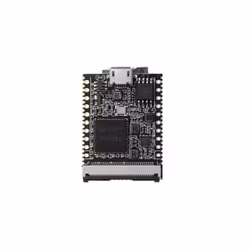 Sipeed Lichee Nano Linux Development Board 16M Flash Version