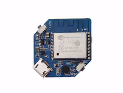 Wio Node
