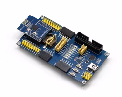 Bluetooth 4.0 NRF51822 Eval Kit