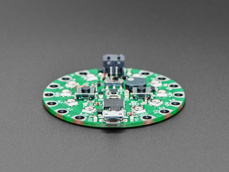 Circuit Playground Express for 4-H