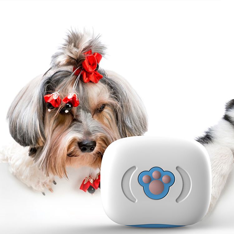 Liten IP67 GPS-tracker för katt och hund