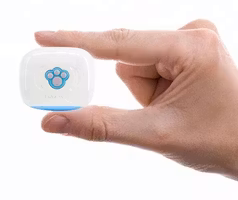 Liten IP67 GPS-tracker för katt och hund