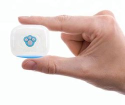 Liten IP67 GPS-tracker för katt och hund