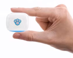 Liten IP67 GPS-tracker för katt och hund