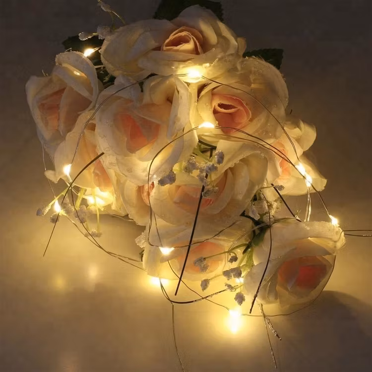 Xmas Decoration LED Copper String Light With USB Port