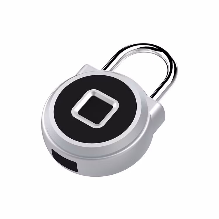 Fingeravtryck smarta hänglås