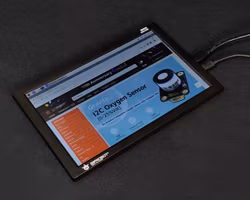 10.1" 800x1280 mini-HDMI IPS Display