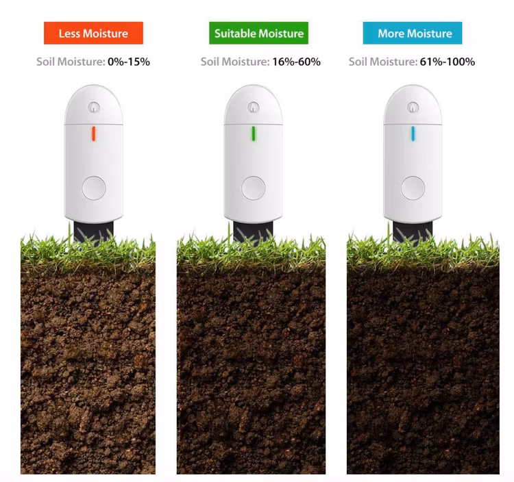 Flowers and plants Soil Water Sensor detector