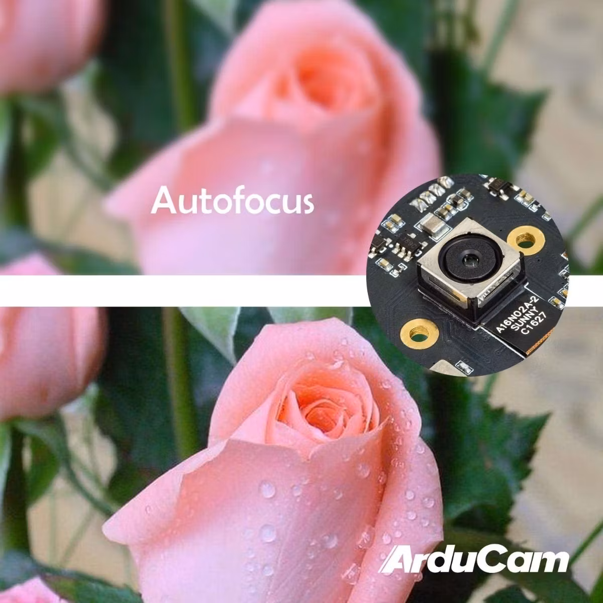 Arducam 16MP Autofocus USB Camera for Computer with Microphone, 4K video Webcam
